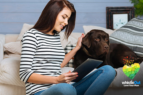 Best Fido Data Plans