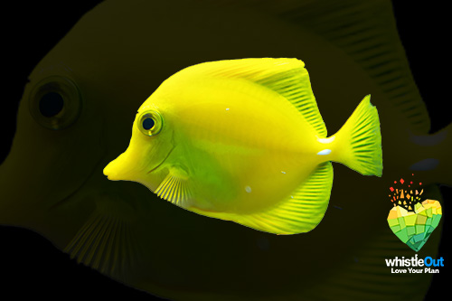 Telus Releases an Unlimited Data Plan and It's Better Than Bell or Rogers (Updated)