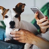 Fido Launches $0 Mini Tabs With Free Phones on 2-year Plans Fido Launches $0 Mini Tabs With Free Phones on 2-year Plans