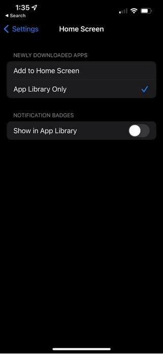 iPhone home screen Settings menu with App Library Only option selected.