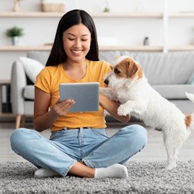 Best Fido Cell Phone Plans Best Fido Cell Phone Plans