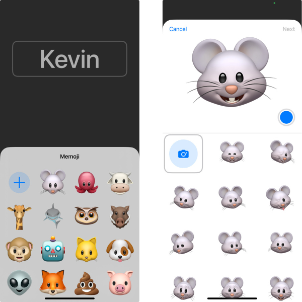 Screenshots of Memoji options for Contact Posters