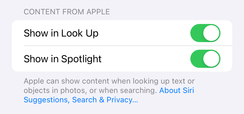 Screenshot of Look Up enabled in iOS 17 settings