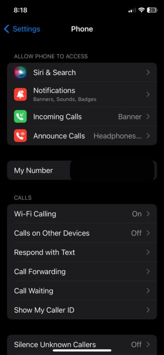 Phone page on iPhone