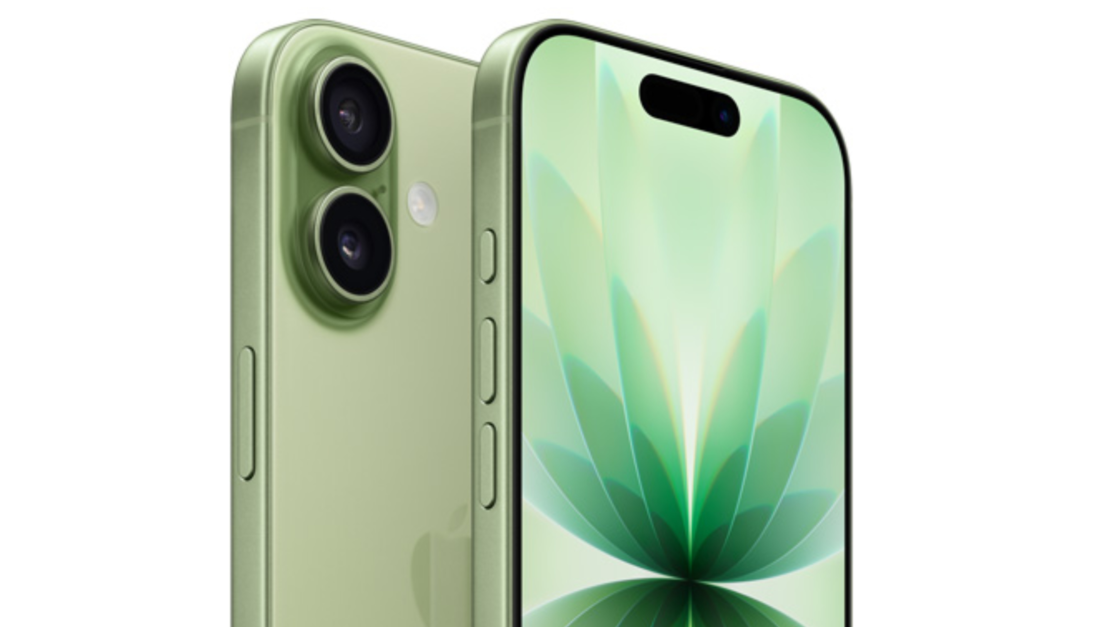 Phone 17 main camera array.