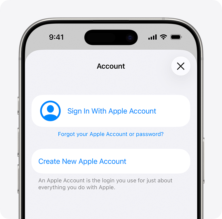 Screenshot of Apple Account sign-in