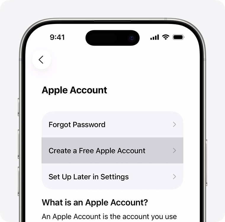 Screenshot of Apple ID options at activation
