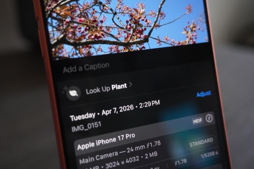 How to Use Your iPhone's Visual Lookup