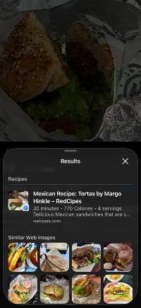 Screenshot of Visual Look Up