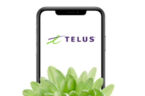 Telus Cancels New Prepaid Plan Activations as of July 1: What You Need to Know