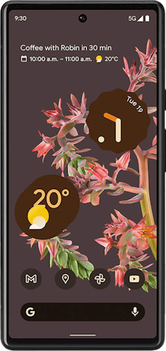 Pixel 6 128GB