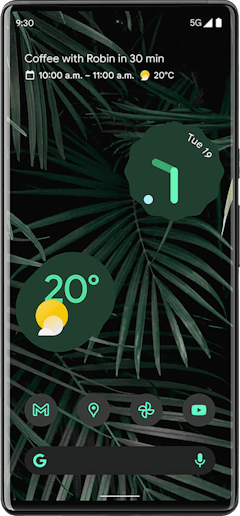 Pixel 6 Pro 128GB