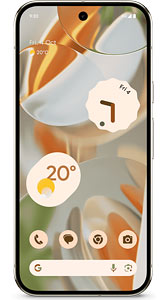 Google Pixel 9 Pro 1TB